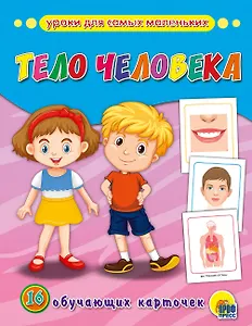 Тело человека: обучающие карточки