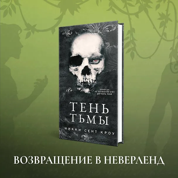 Книга Тень Тьмы (Никки Сент Кроу) — 6