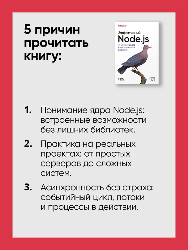 Книга Эффективный Node.js: От базовых навыков к профессиональной разработке (Самер Буна) — 8