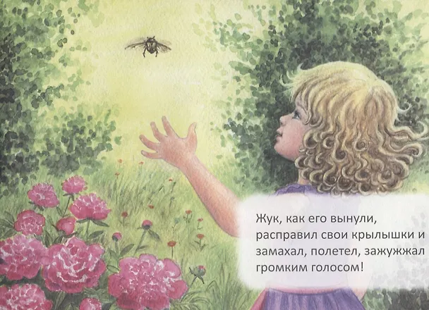 Книга Благодарю (Станислав Брейэр) — 4