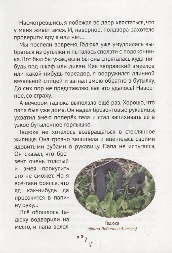 Книга Пряники для слона () — 4