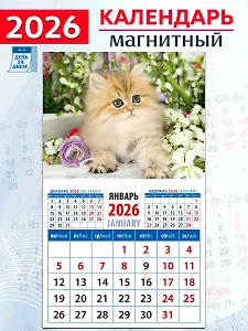 Календарь 2026г 94*167 «Очаровательный котенок» на магните