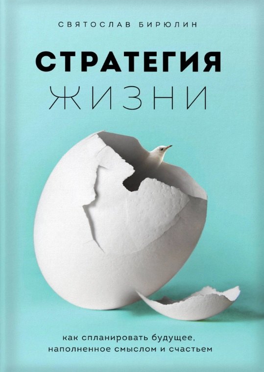 

Стратегия жизни. Как спланировать будущее, наполненное смыслом и счастьем