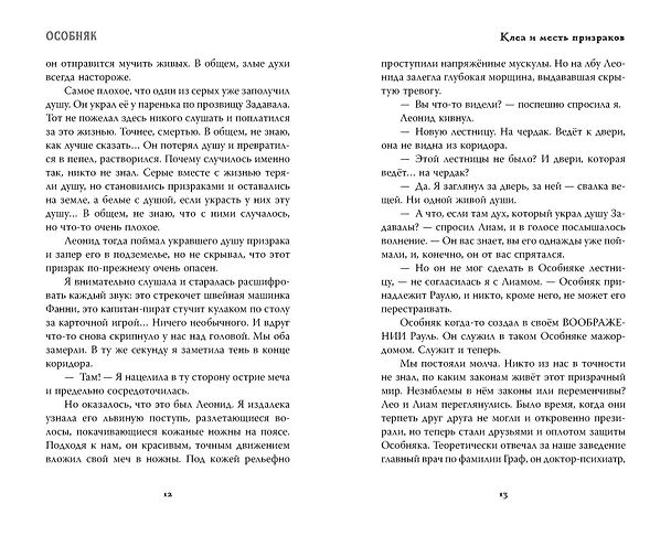 Книга Особняк. Клеа и месть призраков (Эвелин Бризу-Пеллен) — 19
