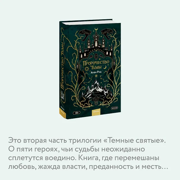 Книга Пророчество тьмы (Анви Рид) — 6
