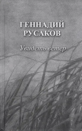 Книга Увидеть ветер (Русаков) ()
