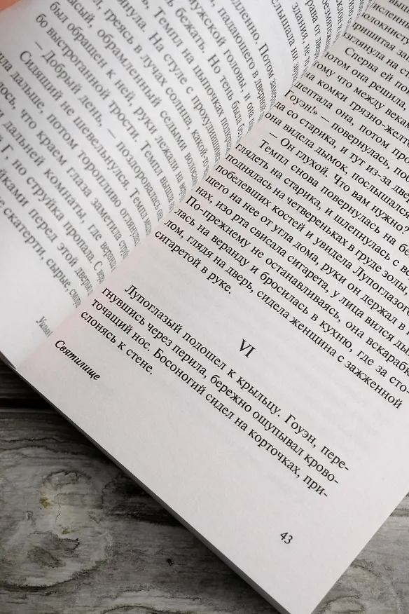 Книга Святилище (Уильям Фолкнер) — 9