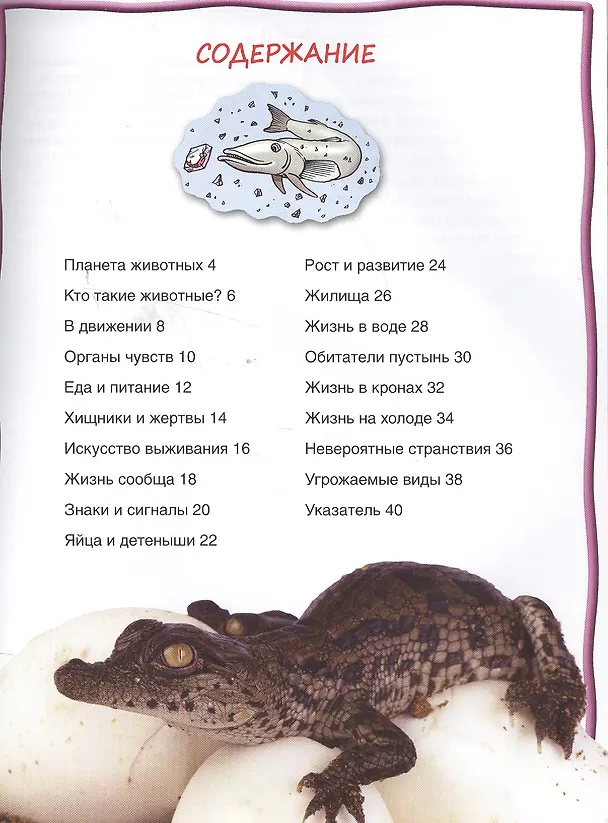 Книга Животные () — 2