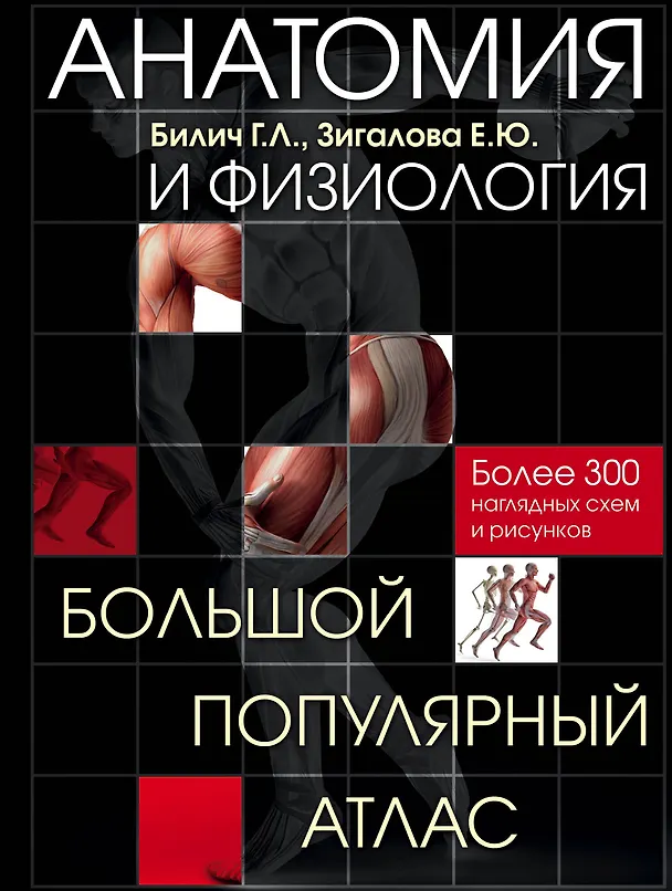Книга Анатомия и физиология. Большой популярный атлас (Елена Зигалова, Габриэль Билич) — 1