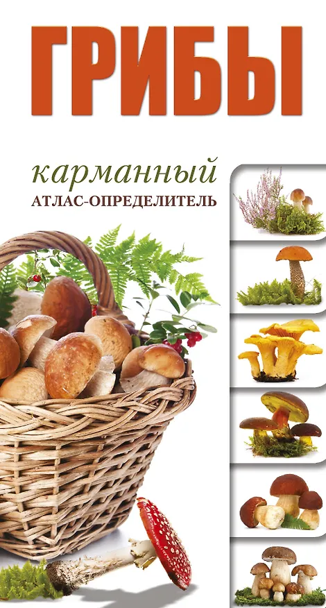 Книга Грибы. Карманный атлас-опредитель (Андрей Поленов) — 1