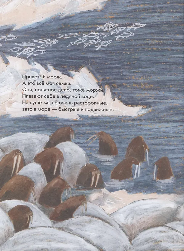 Книга Морж как морж, ничего особенного (Даша Димитрова) — 2