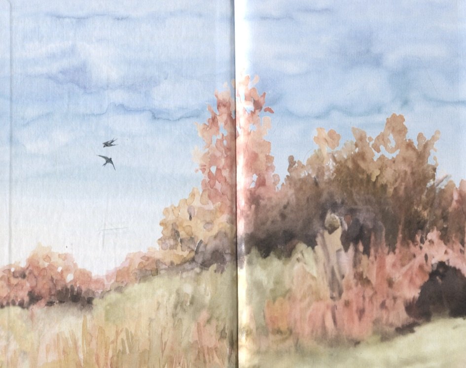 Изображение бумажной книги