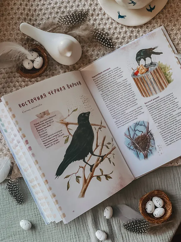 Книга Птицы Камчатки и Командорских островов. Где найти и как узнать (Анна Евсеева) — 13