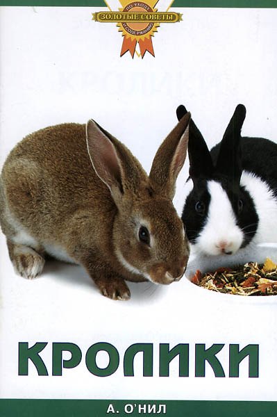 Книга Кролики (мягк)(Золотые советы). ОНил А. (Аквариум) () — 1