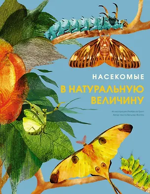 Книга Насекомые в натуральную величину (Вальтер Фогато)