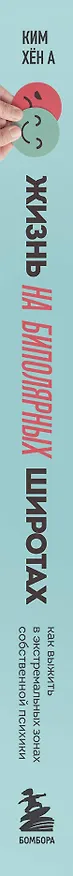 Книга Жизнь на биполярных широтах. Как выжить в экстремальных зонах собственной психики (Хён А Ким) — 3