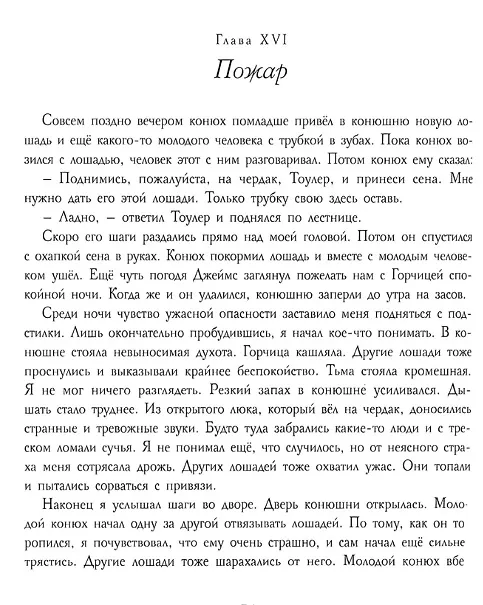 Книга Черный красавчик (Карл Сьюэлл) — 2