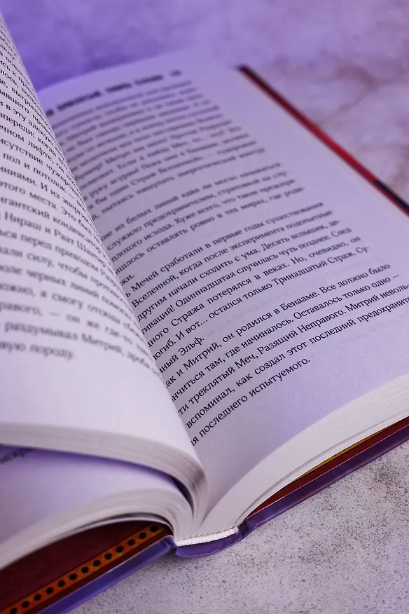 Книга Тринадцатый Проклятый. Скорбь Стража (Мария Токарева) — 13