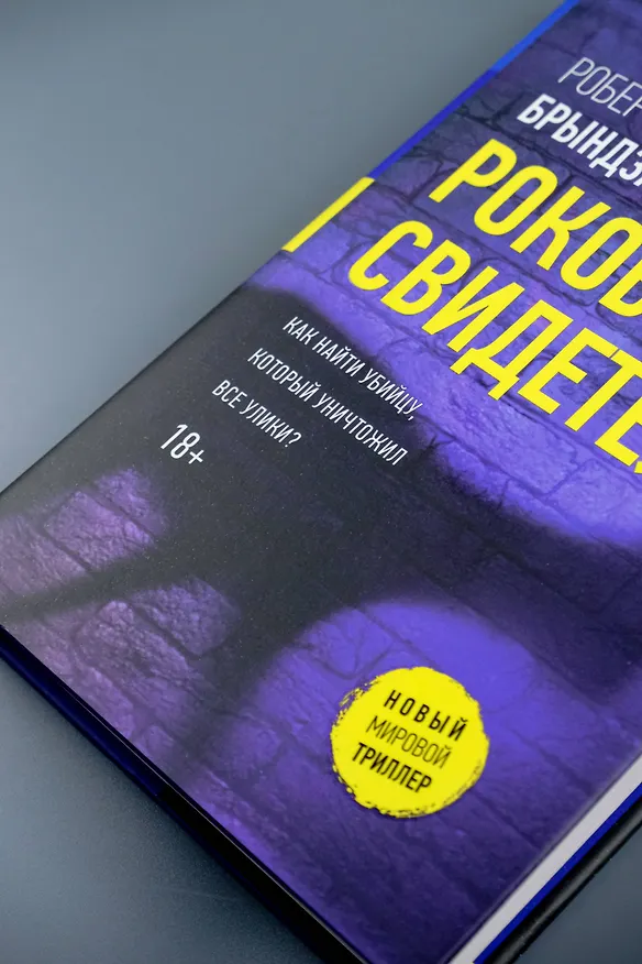 Книга Роковой свидетель (Роберт Брындза) — 10