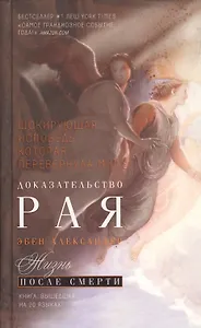 Доказательство Рая. Реальный опыт нейрохирурга