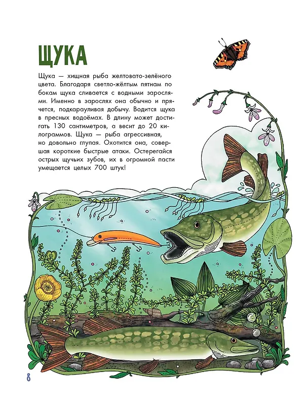Книга Рыбы (Эмма Янссон) — 13