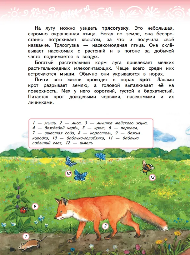Книга Окружающий мир. 3 класс. Учебное пособие. В двух частях. Часть 1 (Галина Ивченкова, Игорь Потапов) — 5