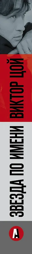 Книга Звезда по имени Виктор Цой (Виталий Калгин) — 3