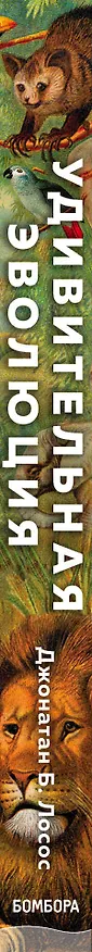 Книга Удивительная эволюция. Биологическая история Земли в невероятных превращениях и мутациях организмов (Джонатан Б. Лосос) — 3