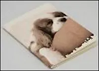 Блокнот "Песик" На подушке (0101119) (Еж Стайл)