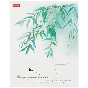 Тетрадь в клетку Hatber, "Нежность", 96 листов, в ассортименте 262725