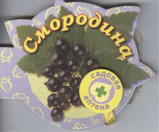 Книга Смородина (Садовая аптека) (Рецепты на магните) (картон) (Урал ЛТД) () — 1