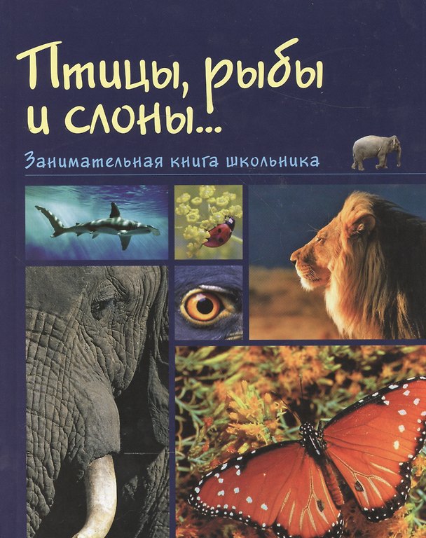 Книга Птицы рыбы и слоны Занимательная книга школьника (Медведева) () — 1