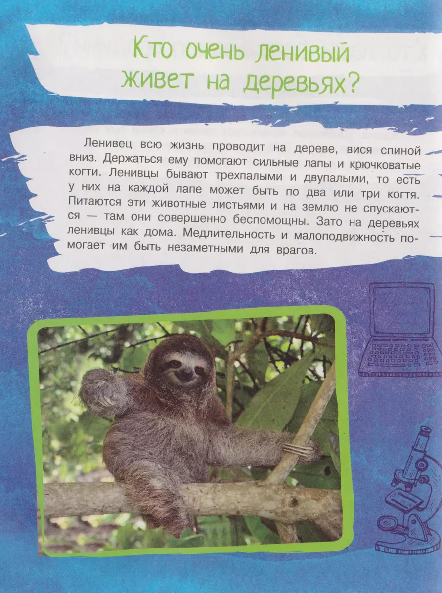 Почему так, а не иначе. Военное дело, растения, космос, животные. (В.  Волкова) - купить книгу с доставкой в интернет-магазине «Читай-город».  ISBN: 978-9-85-184000-3