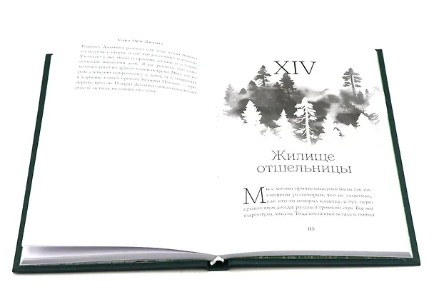 Книга Край островерхих елей () — 6