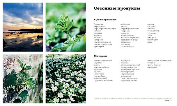 Книга Нордическая кухня. Кулинарные шедевры с северным характером (Клаус Майер) — 3