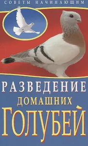 Разведение домашних голубей