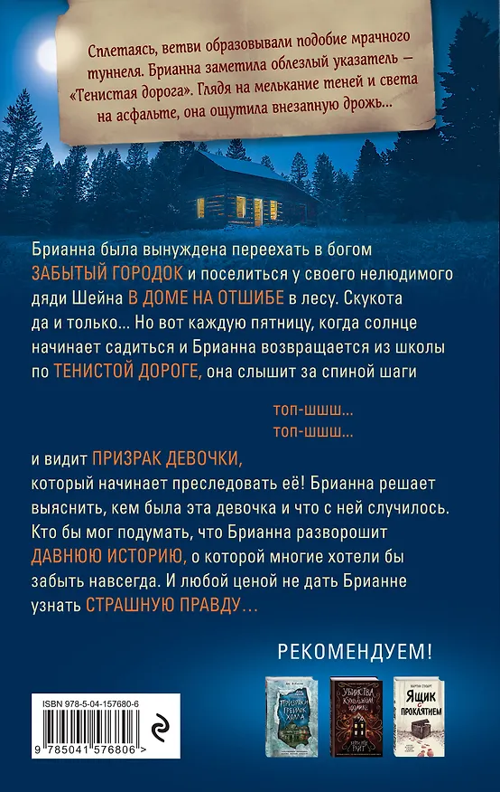 Книга Призрак в свете фар (Линдси Дьюга) — 2