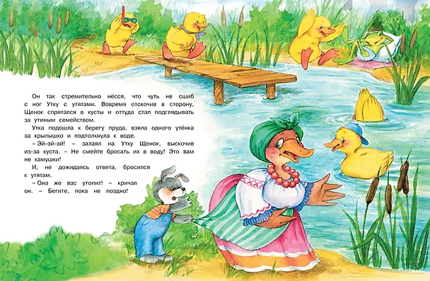 Книга Кто самый красивый? (Екатерина Карганова) — 6