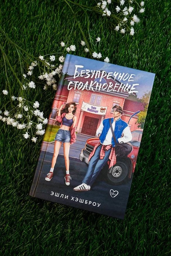 Книга Безупречное столкновение (Эшли Хэшброу) — 8