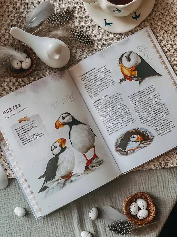 Книга Птицы Камчатки и Командорских островов. Где найти и как узнать (Анна Евсеева) — 10