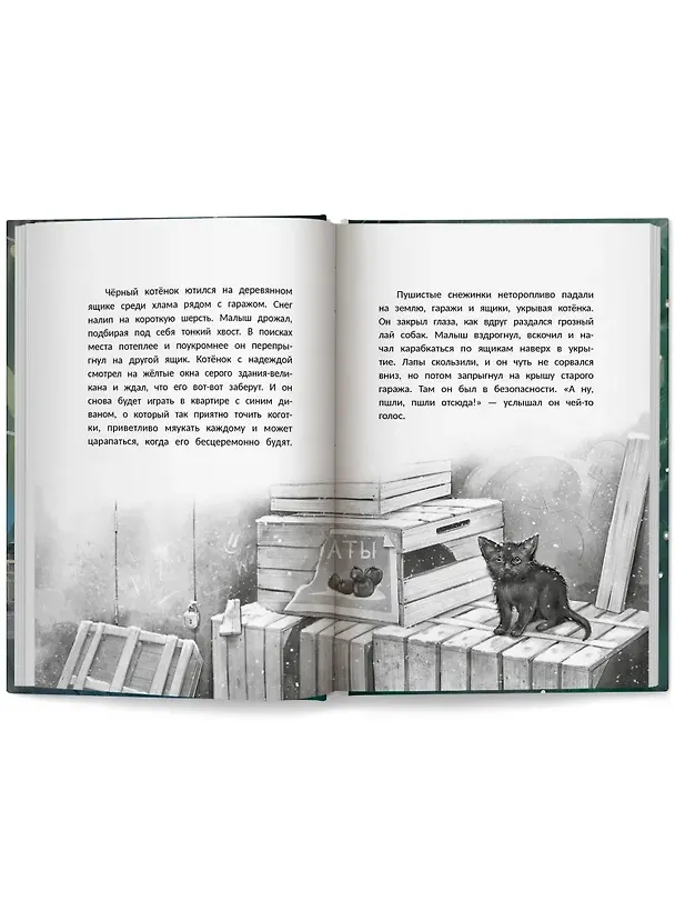 Книга Счастье за дверью (Оксана Мухортова) — 10