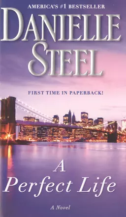 A Perfect Life (м) Steel — 2487868 — 1