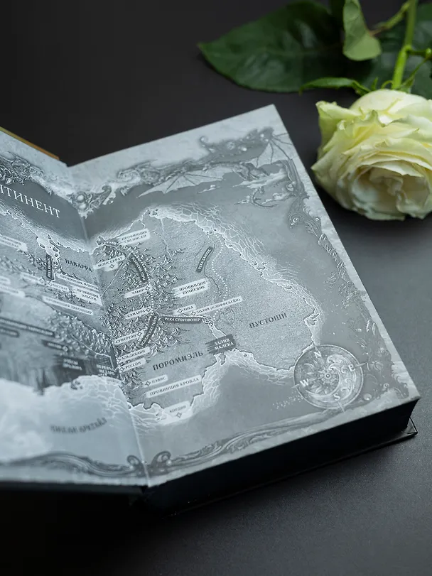Книга Железное пламя (Ребекка Яррос) — 9