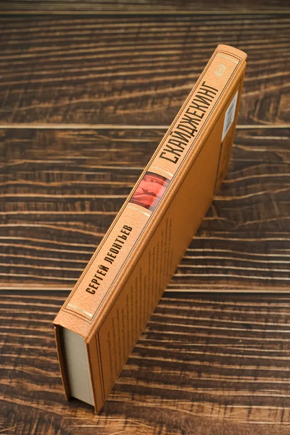 Книга Скайджекинг (Сергей Леонтьев) — 9