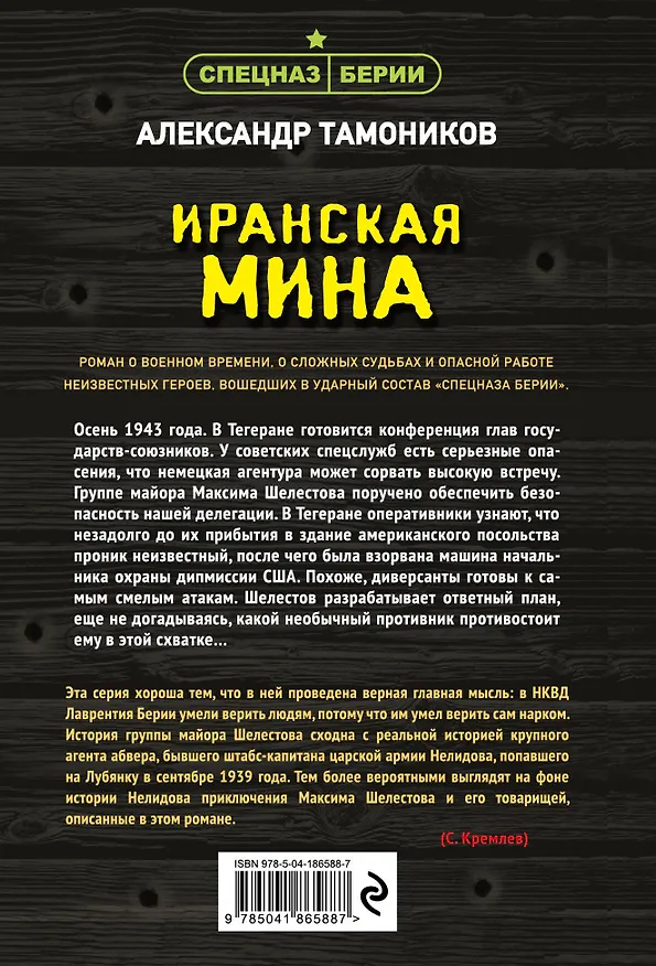 Книга Иранская мина (Александр Тамоников) — 2