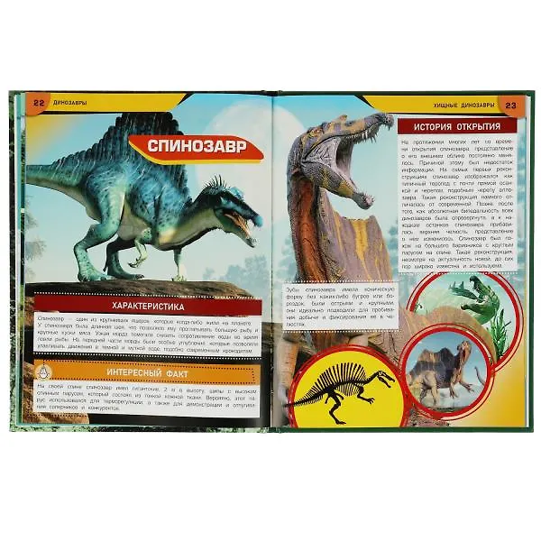 Книга Динозавры. Древние гиганты. Энциклопедия () — 5