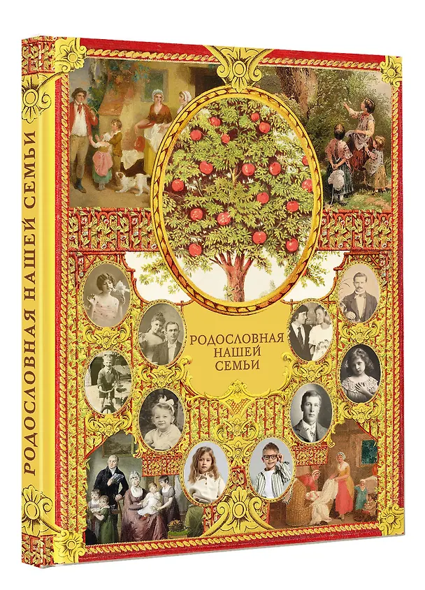 Книга Родословная нашей семьи (Валентина Дмитриева) — 4