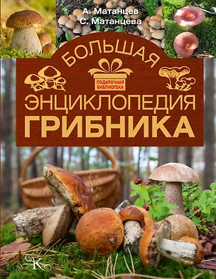Книга Большая энциклопедия грибника (Александр Матанцев)