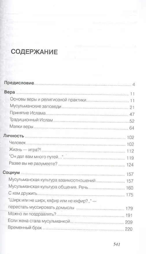 Книга Как увидеть Рай? (Шамиль Аляутдинов) — 2