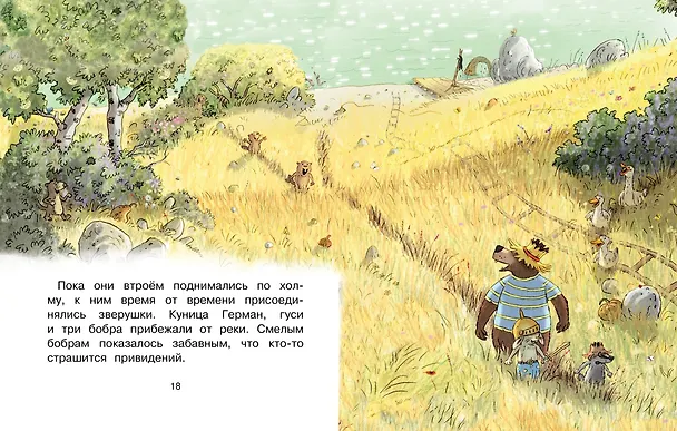 Книга Сказки Волшебного леса: Тайна древнего рудника, Сюрприз на день рождения (Вальтер Кёсслер Валько) — 5